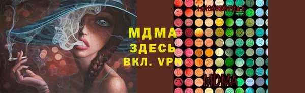 дурь Няндома