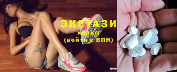 дурь Няндома