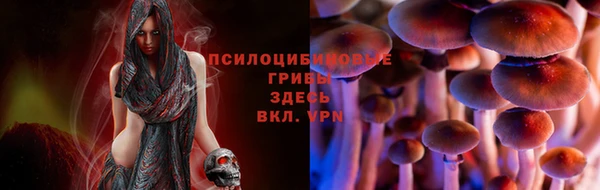 трава Нязепетровск