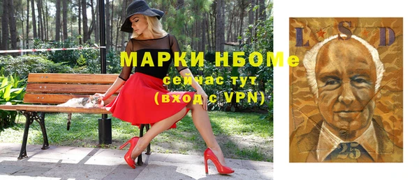шишки Новодвинск