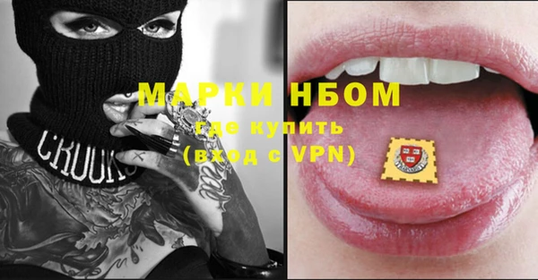 дурь Няндома