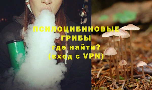дурь Няндома