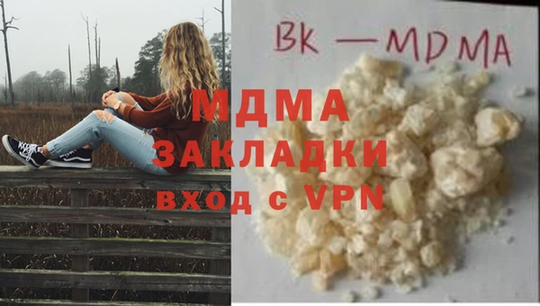 шишки Новозыбков