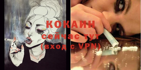 дурь Няндома