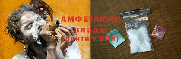 дурь Няндома