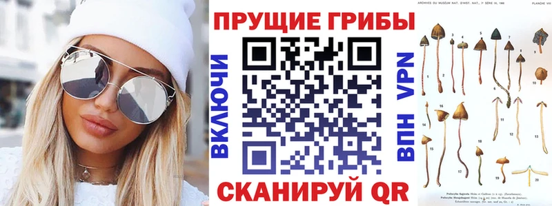 Псилоцибиновые грибы Magic Shrooms  Туринск 